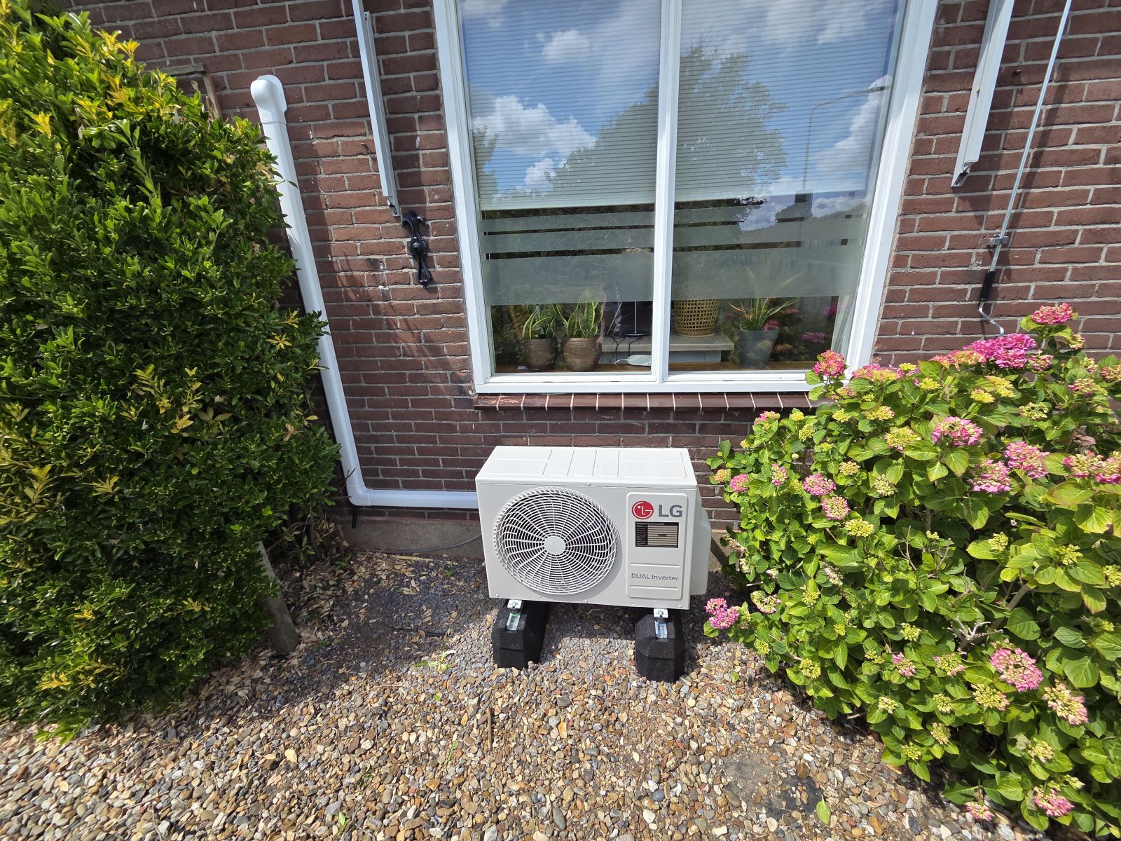 LG airco-buitenunit bij de hortensia